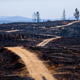 A barren landscape razed by wildfires in Chile’s Cauquenes community, on Feb. 2, 2017. Image: AP Photo/Esteban Felix